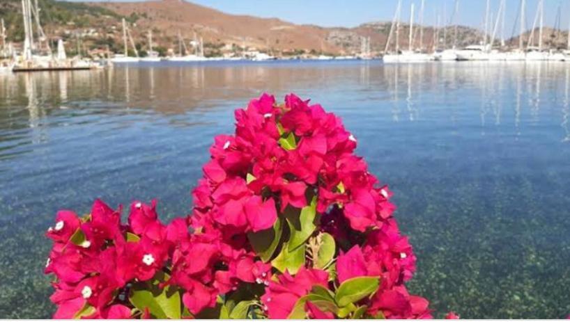 Defne Residence Selimiye Marmaris Exterior foto